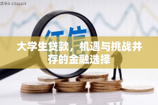 布尔津大学生贷款，机遇与挑战并存的金融选择