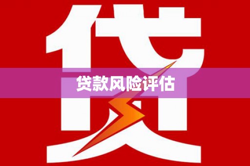 如皋贷款风险评估