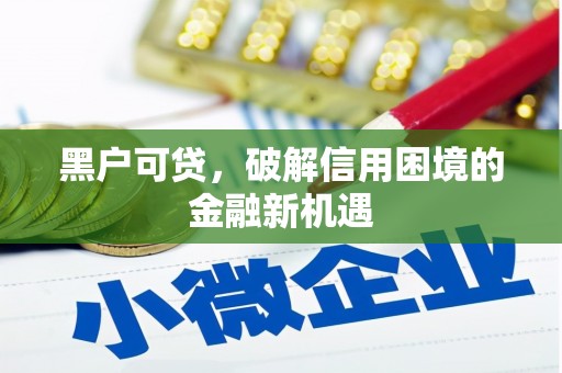 善化黑户可贷，破解信用困境的金融新机遇