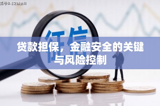 台安贷款担保，金融安全的关键与风险控制