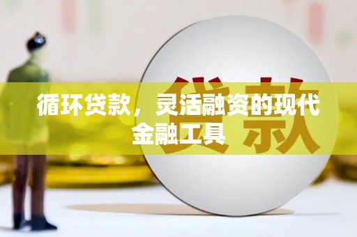 龙州循环贷款，灵活融资的现代金融工具