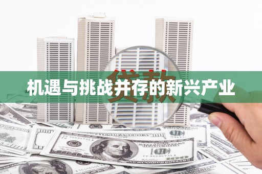 丹巴机遇与挑战并存的新兴产业