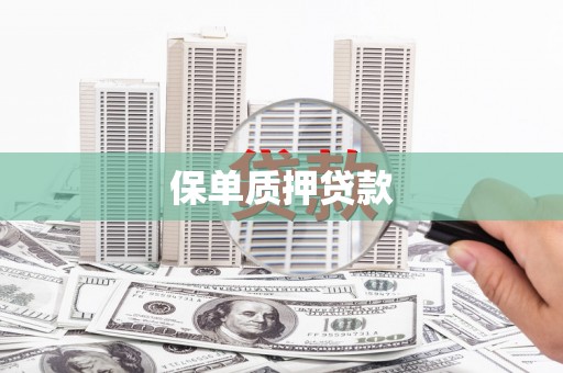 安次保单质押贷款