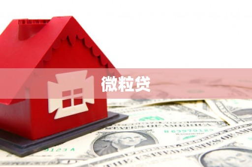 光泽微粒贷