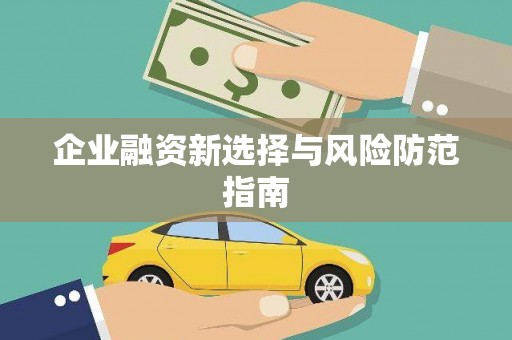 大社企业融资新选择与风险防范指南