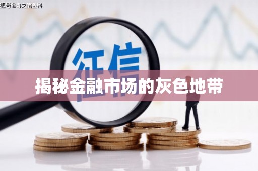 巴里坤揭秘金融市场的灰色地带