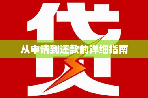 儋州从申请到还款的详细指南