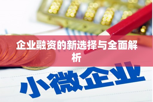 郊区企业融资的新选择与全面解析