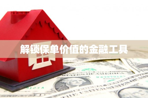 贵溪解锁保单价值的金融工具