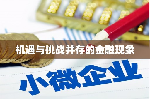 南湖机遇与挑战并存的金融现象
