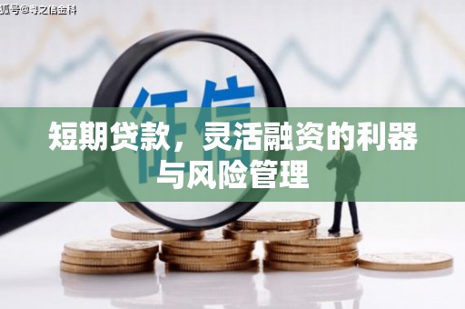 龙江短期贷款，灵活融资的利器与风险管理