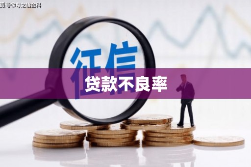 固阳贷款不良率